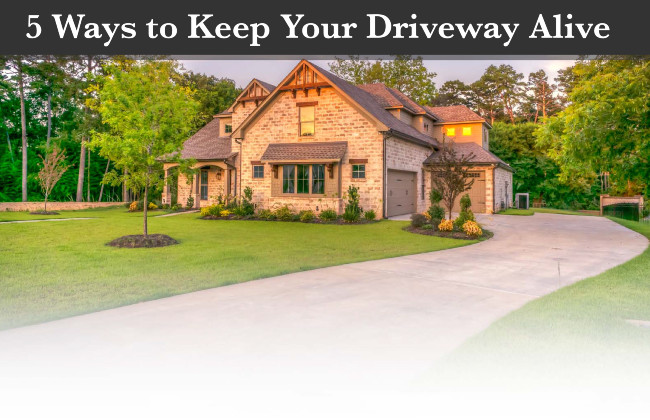 5 Ways to Keep Your Driveway Alive