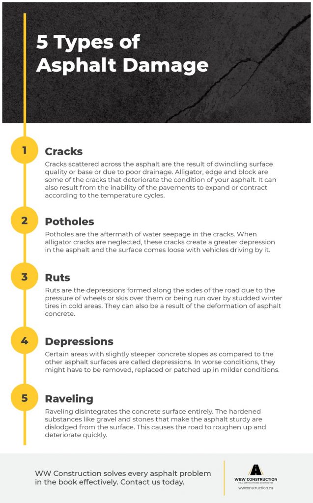 Types of Asphalt Damage